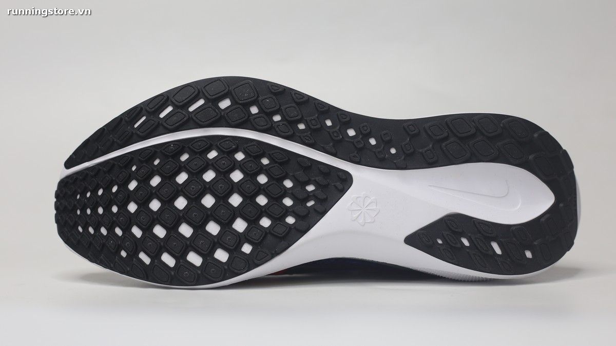 Nike Pegasus 41 Air Zoom Multicolor IB8171-999