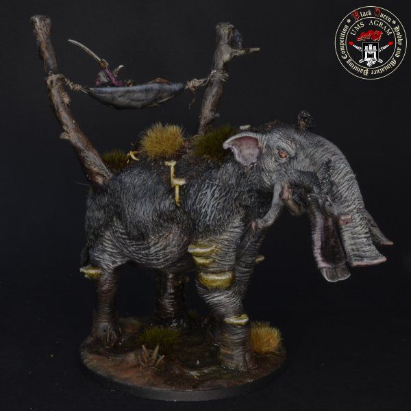 Click for enlarged picture