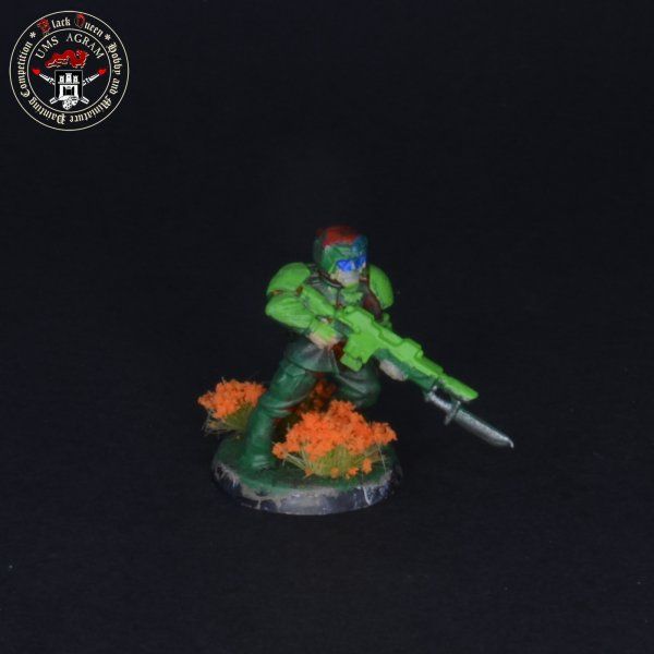 Click for enlarged picture