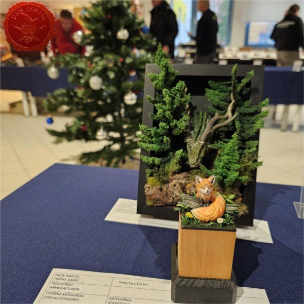 Click for enlarged picture