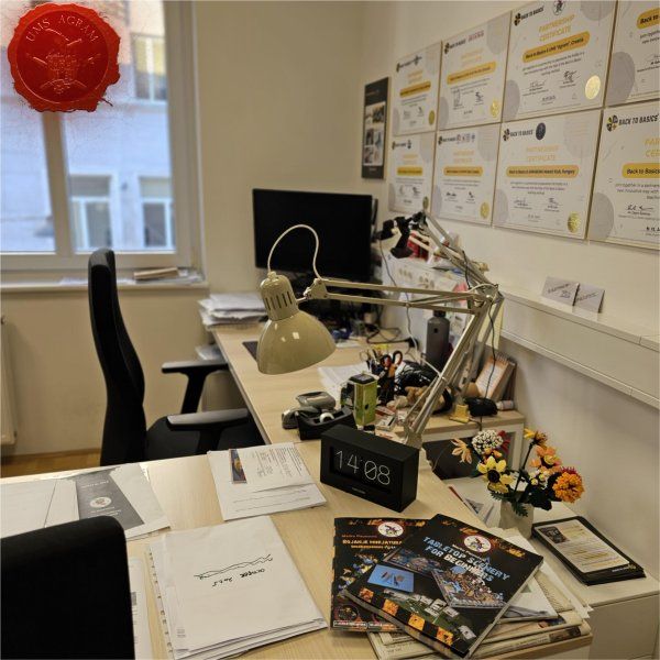 Click for enlarged picture