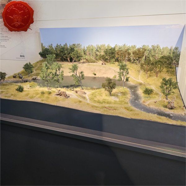 Click for enlarged picture