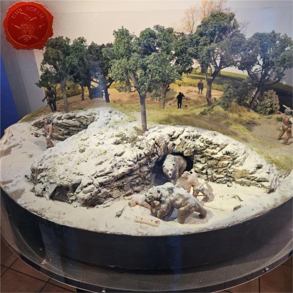 Click for enlarged picture