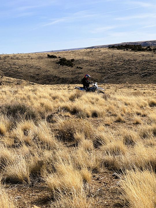 308fc90d-d160-400e-9cd2-fde2da334734.jpg 308fc90d-d160-400e-9cd2-fde2da334734.jpg