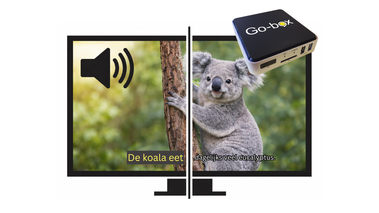 Vrouw tv aan te kijken dankzij de go-box