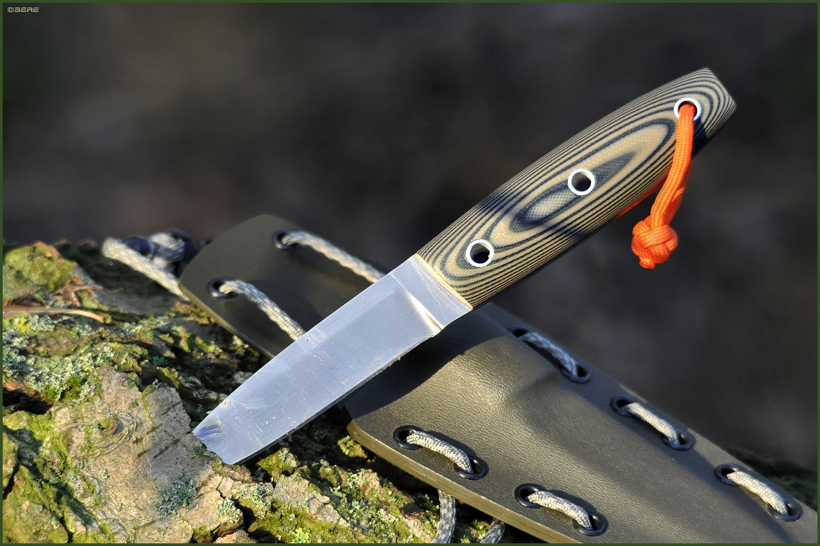 Nu3020K_EDC.jpg