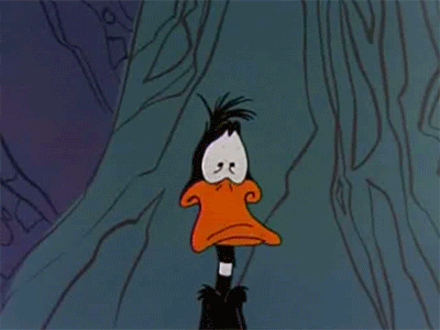 [Image: 1249634361_daffy_duck.gif?width=320&heig...fit=bounds]