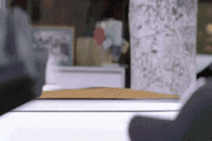 [Image: 1250182120_fittycentcatstare_contest.gif...fit=bounds]