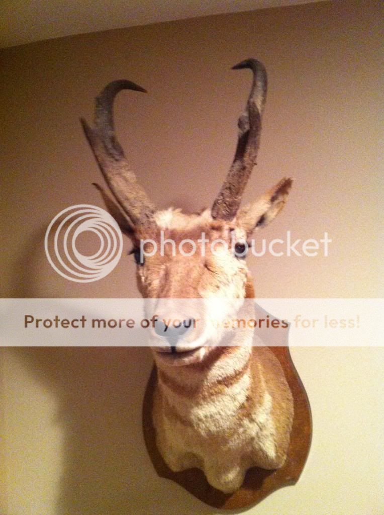 IMG_1296_zps16d24acb.jpg?width=1920&height=1080&fit=bounds