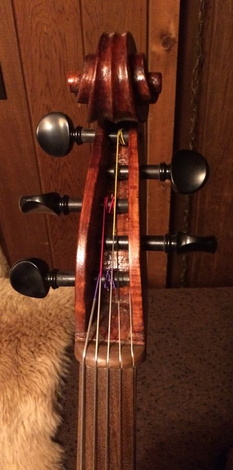 Oliver 5-string Cello Piccolo Scroll front, with Ipe fingerboard and nut. Handmade in Oregon by Chet Bishop.