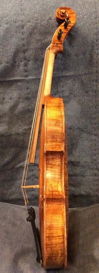 Oliver 5-string fiddle with Spalted maple.