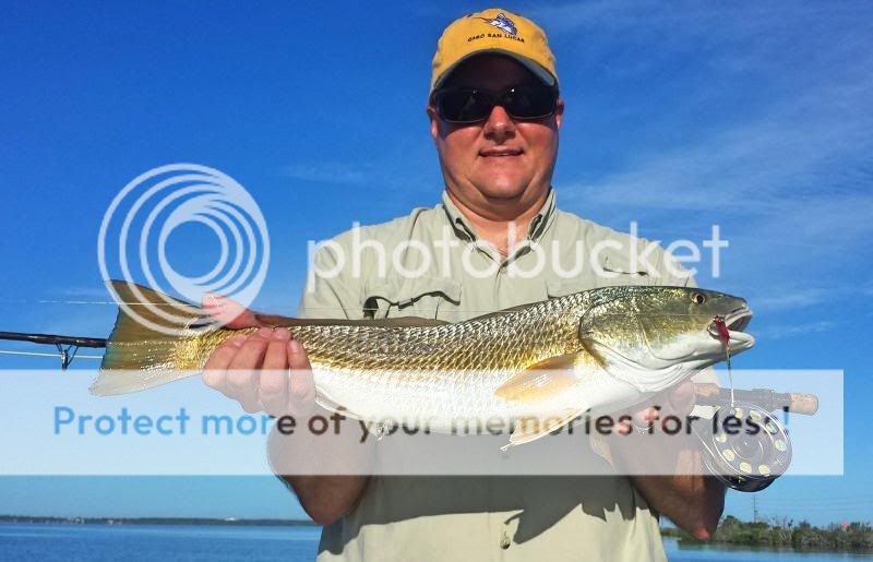 DM_Florida_Redfish_onfly_9-16-2013b_Foto