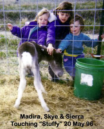 Stuffy with Skye, 'Dira and Sierra