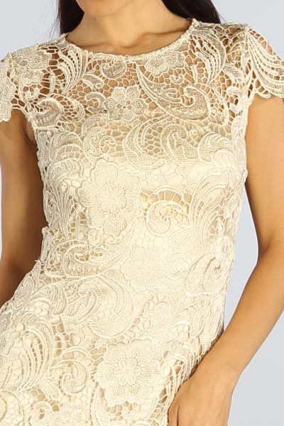 Image 3 of Elegant Chic Lace Lined Dress, Wedding Cocktail Club Party, Champagne Ivory