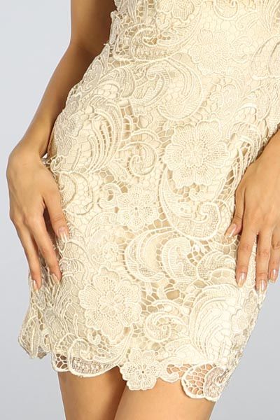 Image 2 of Elegant Chic Lace Lined Dress, Wedding Cocktail Club Party, Champagne Ivory