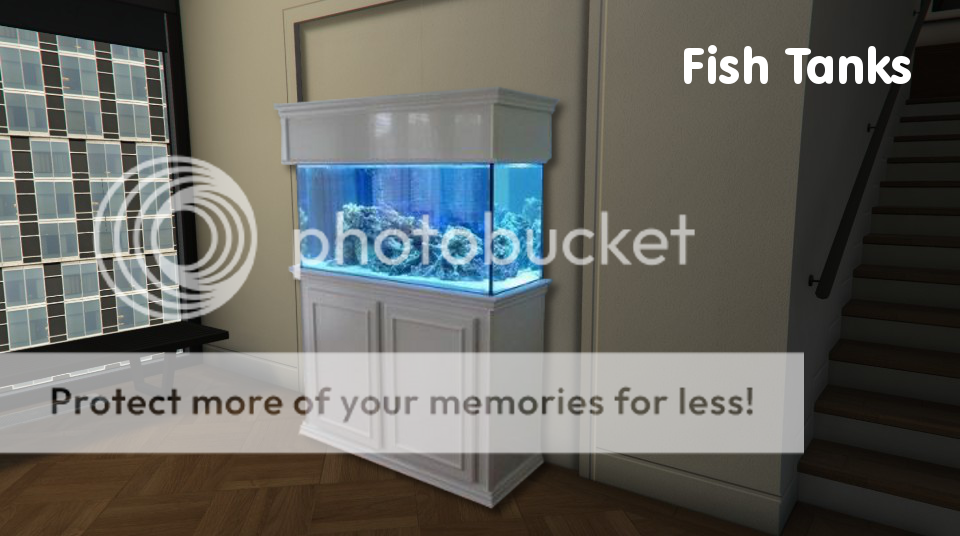 8fishtank_zpshx0idgkj.png