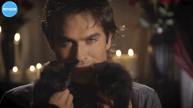 cat damon 89 giphy_zpsw75zbvbi