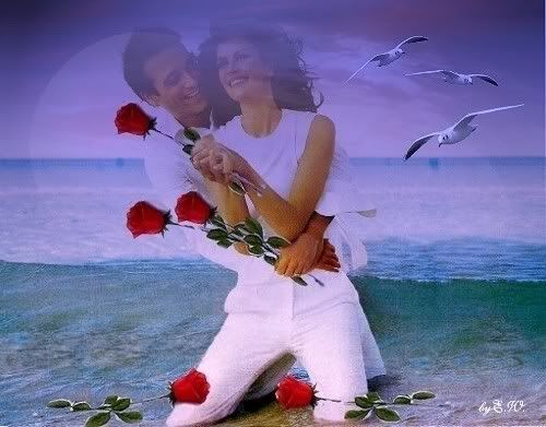 roses7couple8-vi