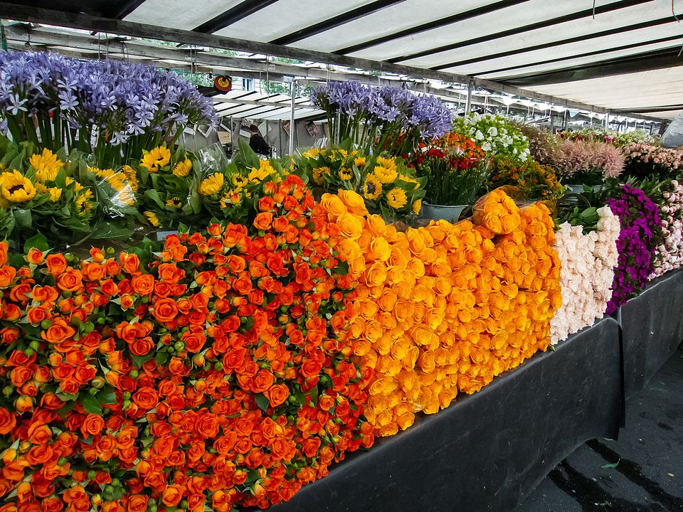 IMAGE: https://hosting.photobucket.com/albums/i63/wiltonw/.highres/Bastille-3_zpsuyzjnuat.jpg?width=960&height=720&fit=bounds