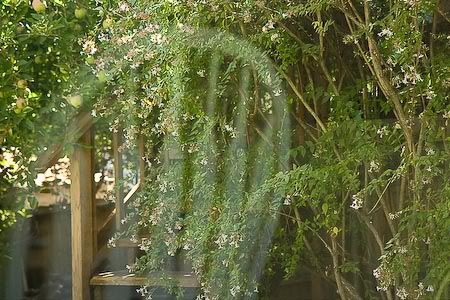 IMAGE: https://hosting.photobucket.com/albums/i63/wiltonw/Principles/IMG_4774-1.jpg?width=960&height=720&fit=bounds