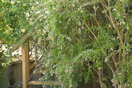 IMAGE: https://hosting.photobucket.com/albums/i63/wiltonw/Principles/IMG_4775-2.jpg?width=960&height=720&fit=bounds