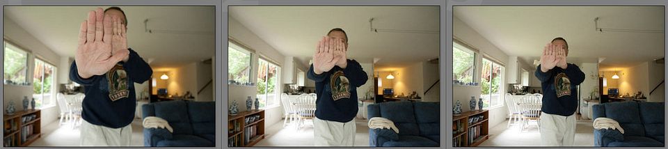 IMAGE: https://hosting.photobucket.com/albums/i63/wiltonw/Principles/whole%20frame_zpstte6h6zj.jpg?width=960&height=720&fit=bounds