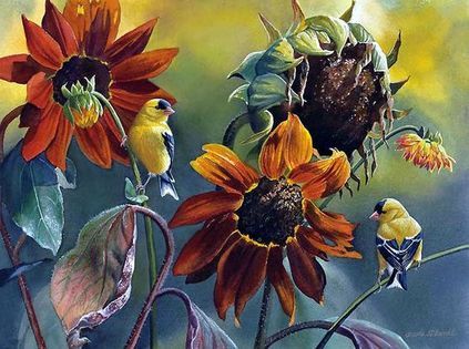 Birds eating seeds from sunflowers - yes