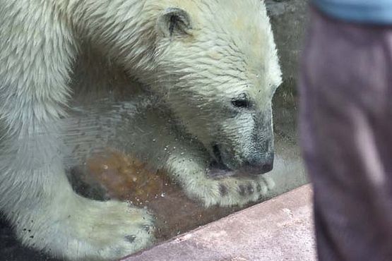 37288340_10216714735646605_5400777102473560064_o