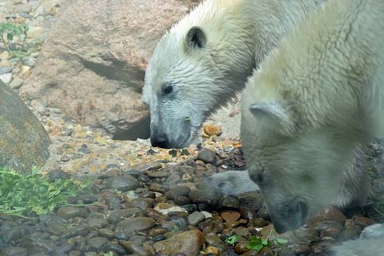 37312351_10216714742646780_4023117207855693824_o