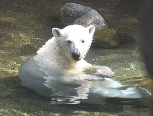 37329546_10216714734326572_5297763617549058048_n