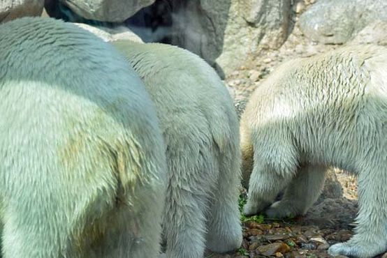 37334838_10216714738206669_6466440342097887232_o