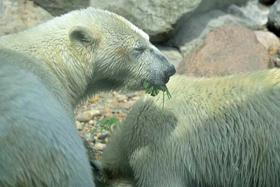 37340825_10216714737926662_8749234525281714176_o