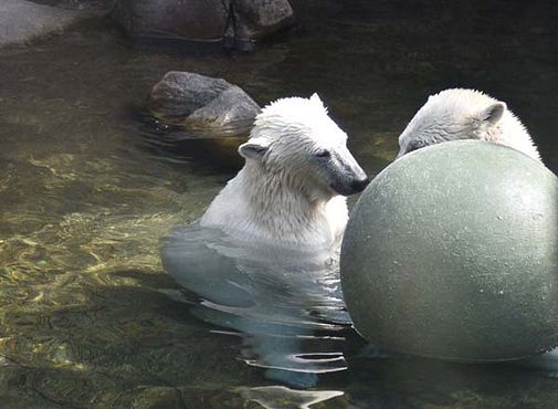 37345083_10216714734726582_5520200197147197440_n