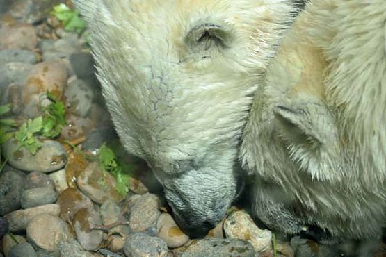 37365031_10216714739846710_4371278788856643584_o