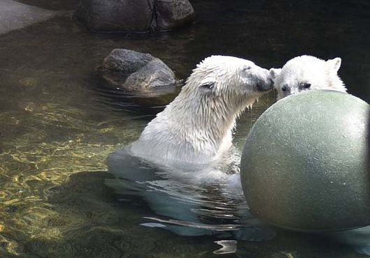 37367142_10216714739006689_237220600060313600_n