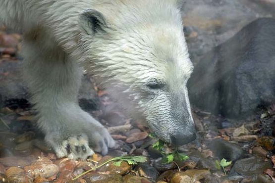 37370048_10216714741326747_5614422081585283072_o