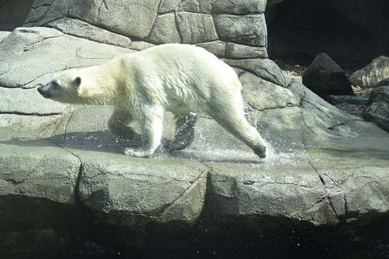 37379679_10216714741646755_5180208137864478720_o