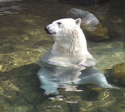 37425864_10216714735206594_822833936261447680_n