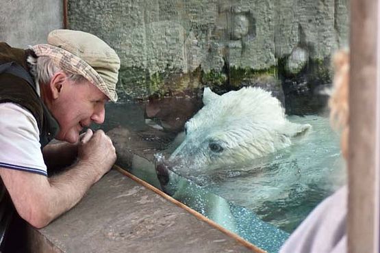 38872080_10216916361687130_1207858036152991744_o