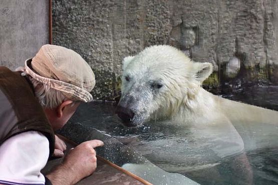 38872876_10216916362487150_1172120094319312896_o