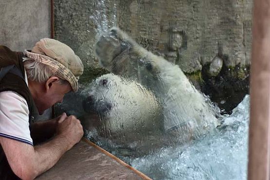 38880943_10216916363927186_7729757336734007296_o