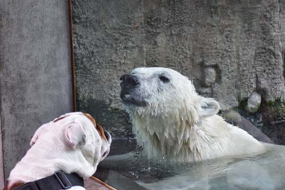 38891184_10216916364967212_648931011094118400_o