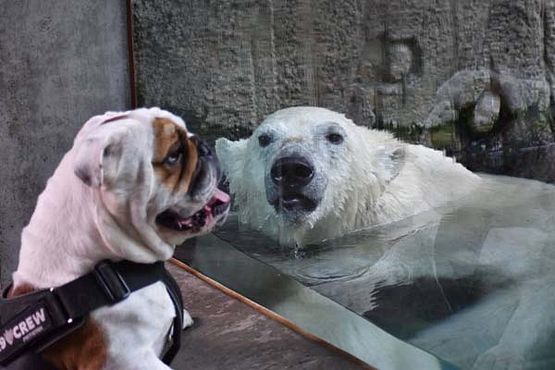 38891277_10216916365807233_898567296455278592_o