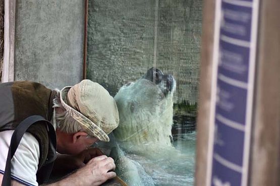 38928997_10216916368007288_4109414280632205312_o