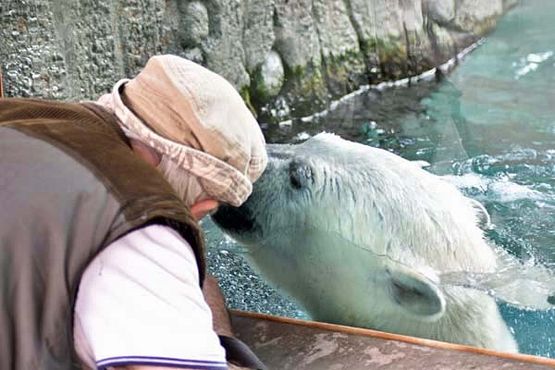 39032307_10216916368447299_1684617861483462656_o