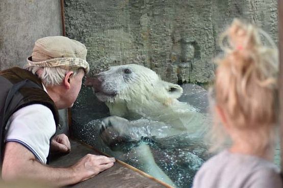 39040871_10216916369407323_5804759733470494720_o