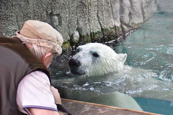 39060361_10216916362247144_3587352901200117760_o