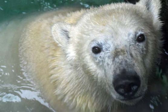 39070110_10216916798978062_56090443229691904_o