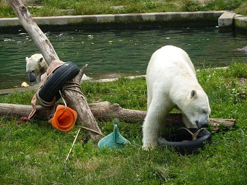 36682991_2126147860996489_5102525523943227392_n