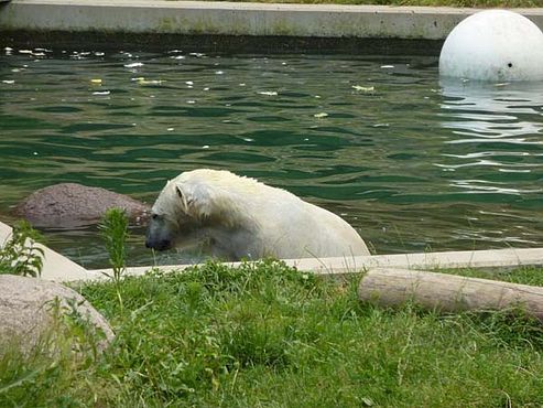 36690343_2126154190995856_5709704874485088256_n